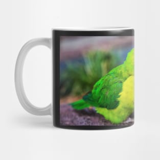 Lorikeet Portrait Mug